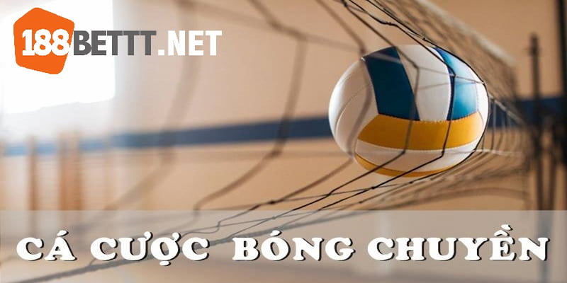 Cá cược bóng chuyền 188Bet là gì?